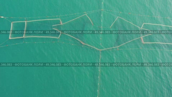 Ставной невод для лова горбуши у берега Охотского моря. Вид сверху. Стоковое видео, видеограф Роман Аксёнов / Фотобанк Лори
