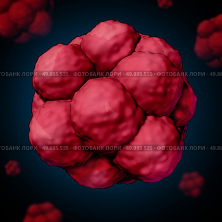 Stem cell or stemcell concept as a three dimensional illustration of biological cells that divide through mitosis found in humans and other mammals as a medical science and healthcare research symbol for potential stem cell therapy. Стоковое фото, агентство Ingram Publishing / Фотобанк Лори