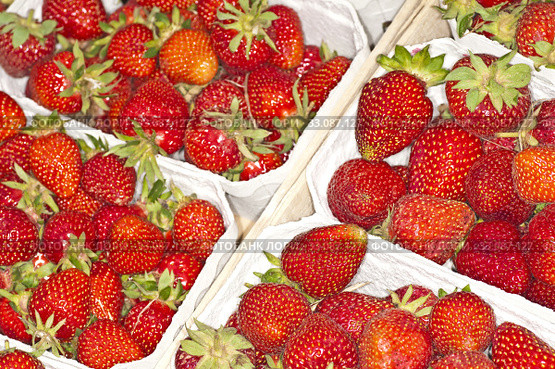 strawberries. Стоковое фото, фотограф Hans-Joachim Schneider / PantherMedia / Фотобанк Лори