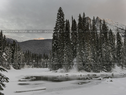 Stream flowing in snow covered valley in winter, Emerald Lake, Yoho National Park, British Columbia, Canada. Стоковое фото, агентство Ingram Publishing / Фотобанк Лори