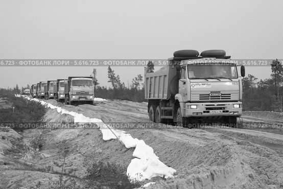 Строительство дороги на месторождение в Западной Сибири (2012 год). Редакционное фото, фотограф Валерий Акулич / Фотобанк Лори