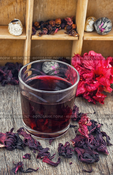 Sudanese rose. Стоковое фото, агентство Ingram Publishing / Фотобанк Лори