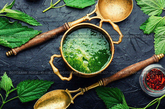 Summer green nettle soup. Fresh nettle chowder. Cream soup.. Rural lunch, nettle soup,top view. Стоковое фото, агентство Ingram Publishing / Фотобанк Лори