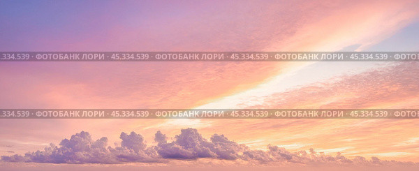 Sunset cloudscape Panoramic with rich purple and pink tones blending into orange at horizon, tranquil evening sky view, natural dusk setting, soft wispy cloud formation, twilight backdrop. Стоковое фото, фотограф Павел Муравьев / Фотобанк Лори