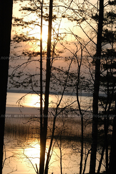 Sunset over the forest lake. Стоковое фото, фотограф Анна Кривицкая / Фотобанк Лори