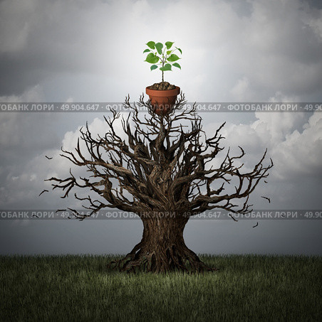 Support the future concept and foundation and trust symbol as an old tree lifting up a potted young plant as a hope for new business or life metaphor with 3D illustration elements. Стоковое фото, агентство Ingram Publishing / Фотобанк Лори