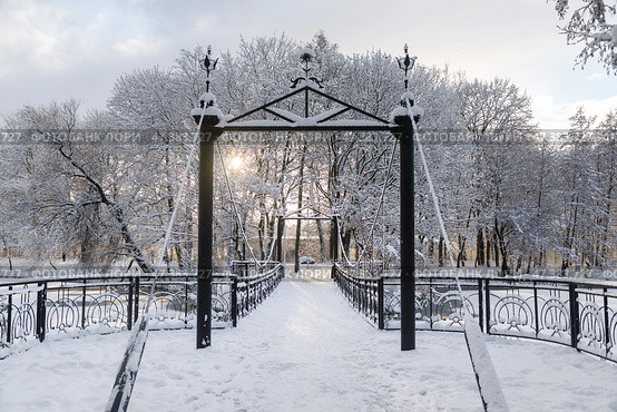 Suspension pedestrian bridge on the lake in South park, Kaliningrad (2023 год). Стоковое фото, фотограф Константин Тронин / Фотобанк Лори