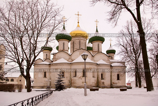 Суздаль. Храм Рождества. (2009 год). Редакционное фото, фотограф Алексей Петров / Фотобанк Лори