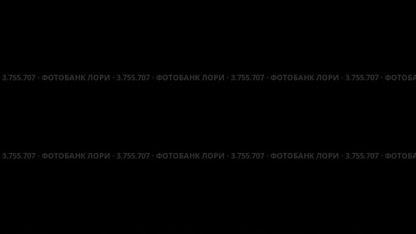 Свет выключается и включается в пустой лекционной аудитории. Стоковое видео, видеограф Losevsky Pavel / Фотобанк Лори