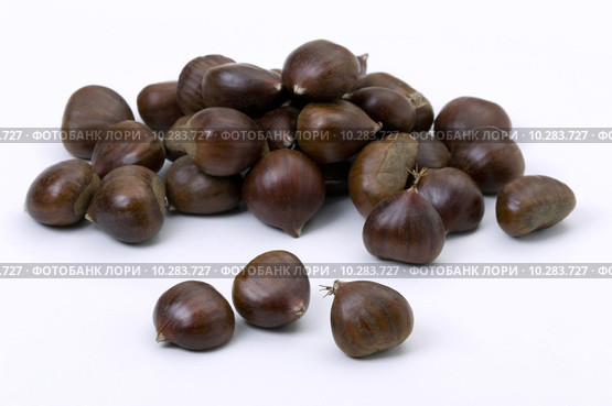 sweet chestnuts. Стоковое фото, фотограф Lee Avison / Smarterpix / Фотобанк Лори