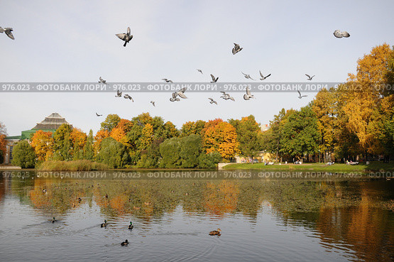 Таврический сад, осень (2008 год). Стоковое фото, фотограф Татьяна Едренкина / Фотобанк Лори