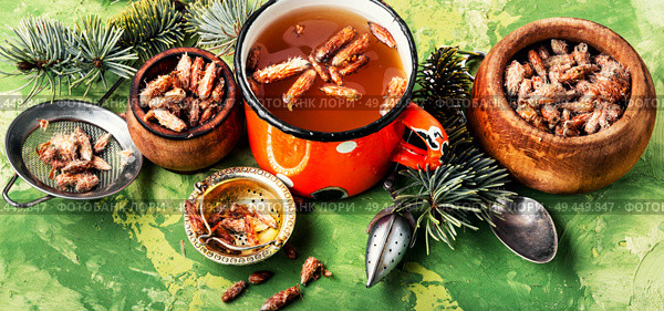Tea with pine buds for treating colds.Pine buds.Herbal medicine.Herbal medicinal tinctures. Tea with pine buds. Стоковое фото, агентство Ingram Publishing / Фотобанк Лори