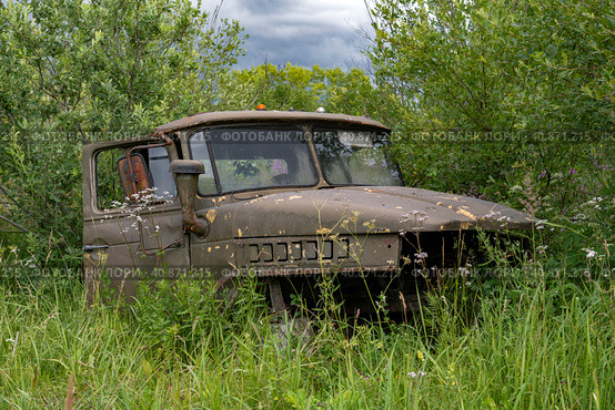 TESOVO-NETYLSKY, RUSSIA - JULY 15, 2023: Cabin of a old dismantled Soviet/Russian truck of the Ural-4320 in the bush on a July cloudy day. Редакционное фото, фотограф Виктор Карасев / Фотобанк Лори
