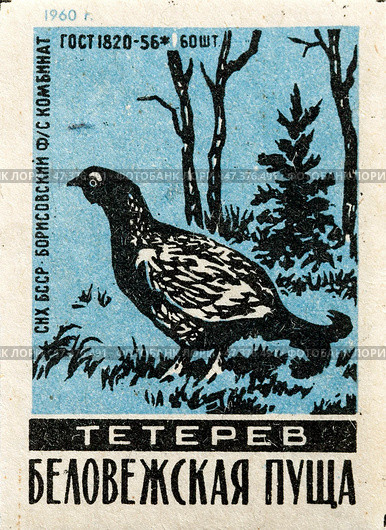 Тетерев. Серия: Беловежская пуща. Спичечные этикетки СССР. 1960. Редакционное фото, фотограф Сергей Афанасьев / Фотобанк Лори