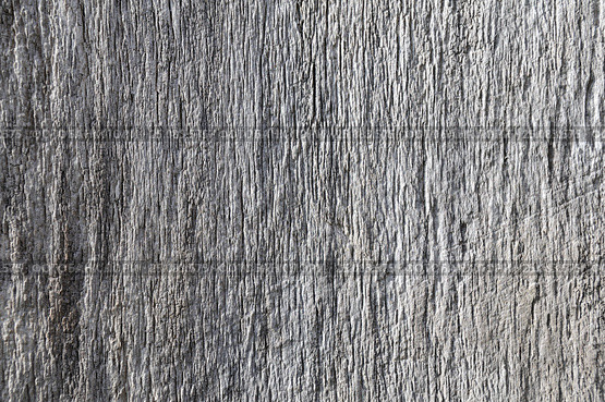 Texture of natural old wooden board. Стоковое фото, фотограф Сергей Эшметов / Фотобанк Лори