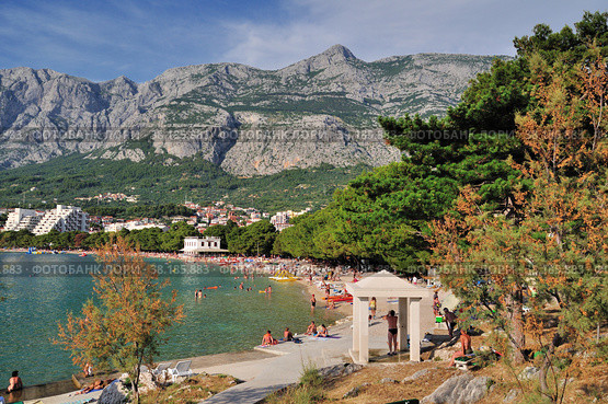 The beach in Makarska is surrounded by pine trees, with a surprisingly long needles. Стоковое фото, фотограф Михаил Аккуратoв / Фотобанк Лори