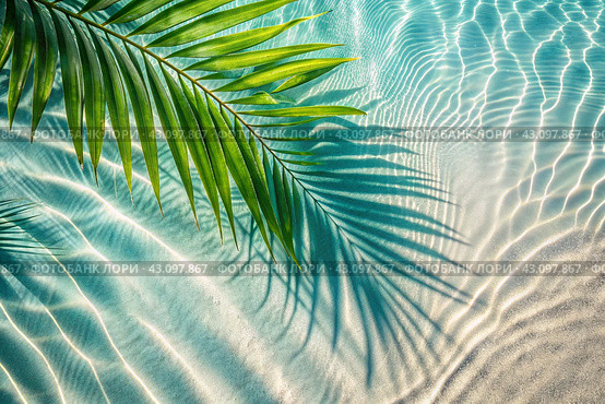 The concept of a summer vacation on the beach. View of tropical leaves on the surface of the water. The shade of palm leaves on the white sand beach. Beautiful abstract background for the banner. Стоковое AI-изображение, AI-художник Photojuli / Фотобанк Лори