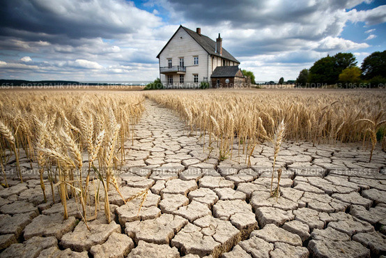 The concept of global warming on planet Earth. Dry and cracked earth and a field of wheat. The farmer's wheat crop is dead, dead, withered. The effects of climate change. Стоковое AI-изображение, AI-художник Photojuli / Фотобанк Лори