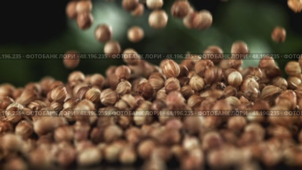 The coriander falls on the table. Filmed on a high-speed camera at 1000 fps. Стоковое видео, видеограф Артем Шадрин / Фотобанк Лори