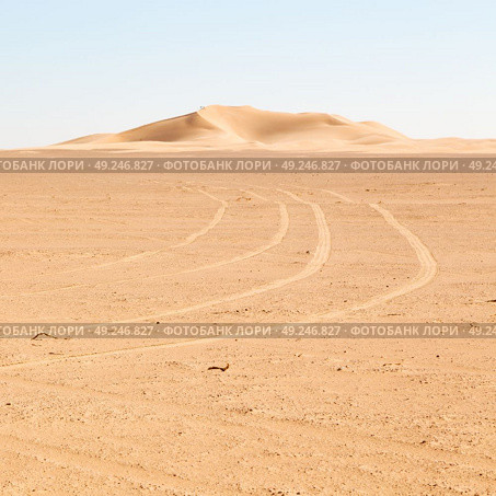 the empty quarter  and outdoor  sand  dune in oman old desert rub   al khali . Стоковое фото, агентство Ingram Publishing / Фотобанк Лори