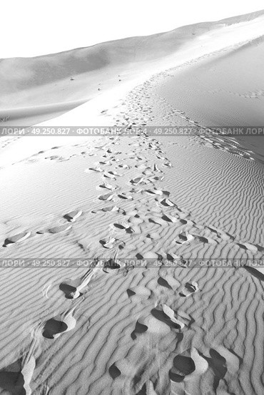 the empty quarter  and outdoor  sand  dune in oman old desert rub al khali . Стоковое фото, агентство Ingram Publishing / Фотобанк Лори