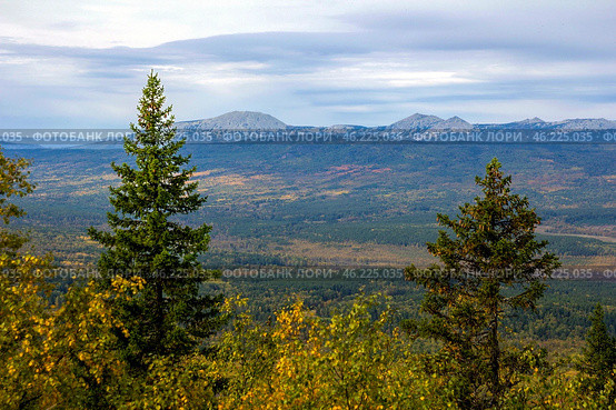 the endless Ural Taiga among the mountains and ridges on a summer day. Стоковое фото, фотограф Акиньшин Владимир / Фотобанк Лори
