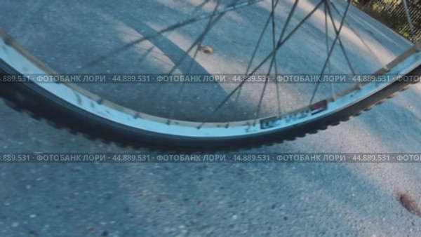 The front wheel of a bicycle and its shadow while driving on a sunny day. Стоковое видео, видеограф Ярославский Максим / Фотобанк Лори