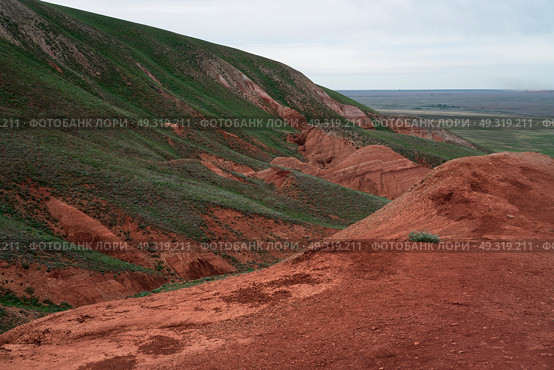 The highest point of the Caspian lowland is Mount Bolshoe Bogdo on a summer day, Bogdinsko-Baskunchaksky Nature Reserve, Akhtubinsky district, Astrakhan region, Russia. Стоковое фото, фотограф Ula Ulachka / Фотобанк Лори
