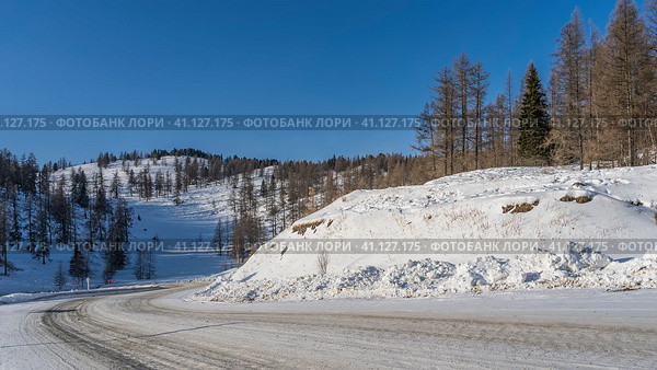 The highway curves around a snow-covered hill. Tire tracks are visible. Coniferous trees in snowdrifts on the side of the road. A mountain against a blue sky. Altai. Chuysky tract. Стоковое фото, фотограф Вера Ивановна Кубарева / Фотобанк Лори
