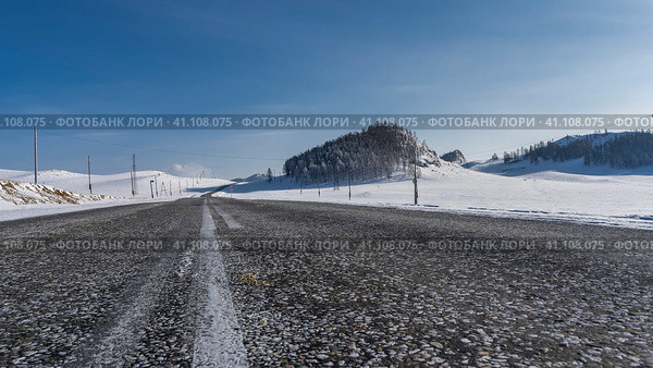 The highway goes forward and into the distance. White marking lines on the asphalt. There are electric poles on the roadsides in the snow. Bare trees on a hill. Blue sky. Altai. Chuysky tract. Стоковое фото, фотограф Вера Ивановна Кубарева / Фотобанк Лори