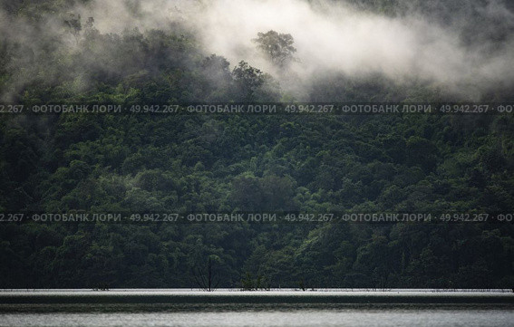 the landscape view of tropical rain forest, nature scene. Стоковое фото, агентство Ingram Publishing / Фотобанк Лори