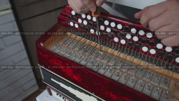 The man checks the compression of the butt button. It presses the valve with a screwdriver to the body and spreads the fur. Bayan repair and maintenance. Стоковое видео, видеограф Vadzim Yakubovich / Фотобанк Лори