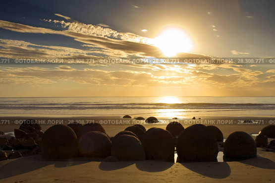 The Moeraki Boulders are unusually large and spherical boulders lying along a stretch of Koekohe Beach on the wave-cut Otago coast of New Zealand between Moeraki and Hampden. Стоковое фото, агентство BE&W Photo / Фотобанк Лори