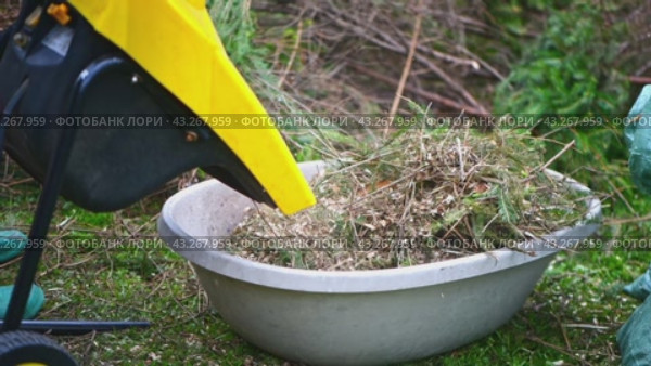 The process of chopping branches into mulch with wood chipper in garden, ecology, wood recycle. Стоковое видео, видеограф Ольга Ильина / Фотобанк Лори