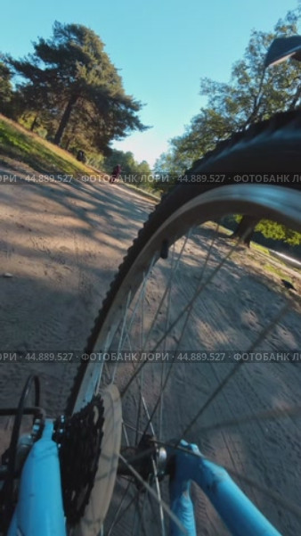 The rear wheel of a bicycle while driving in the early morning in a sunny park along a pond. The concept of a morning trip. Стоковое видео, видеограф Ярославский Максим / Фотобанк Лори