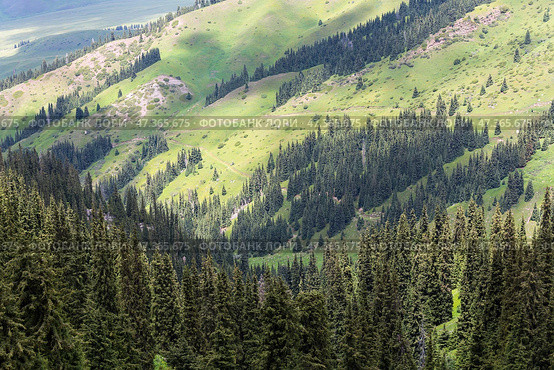 The Terskey Ala-Too in the Tian Shan mountains in Kyrgyzstan. Стоковое фото, фотограф Юлия Белоусова / Фотобанк Лори