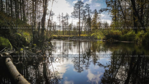 Timelapse of forrest river and clouds. Стоковое видео, видеограф Анатолий Марков / Фотобанк Лори