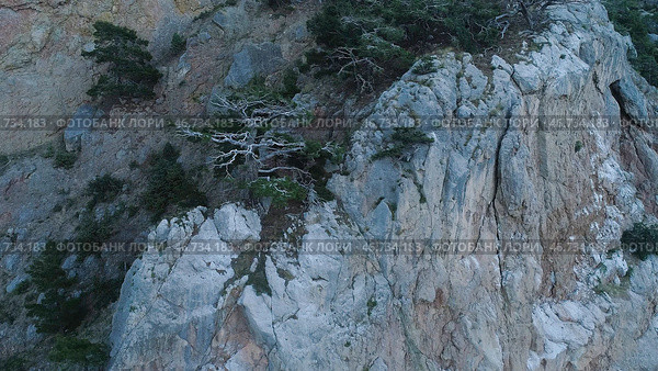 Top view of rocky steep wall with sparse vegetation on ledges. Стоковое фото, фотограф David Kashakhi / Фотобанк Лори