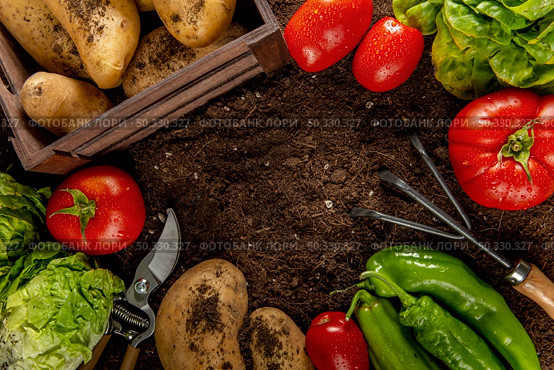 top view tomatoes with potatoes veggies. High resolution photo. top view tomatoes with potatoes veggies. High quality photo. Стоковое фото, агентство Ingram Publishing / Фотобанк Лори