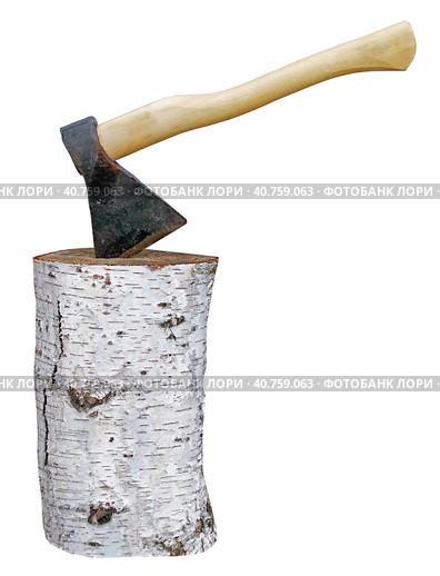 Топор, воткнутый в березовый пень на белом фоне. Axe stuck in birch stump on white background. Стоковое фото, фотограф Татьяна Д / Фотобанк Лори