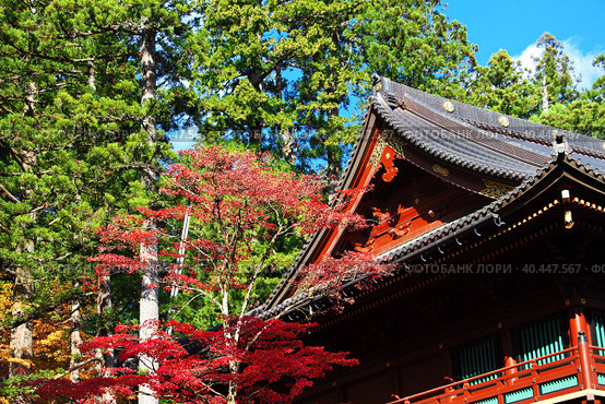 Tosho-gu temple at autumn, Nikko, Japan (2013 год). Стоковое фото, фотограф Сергей Стрелков / Фотобанк Лори