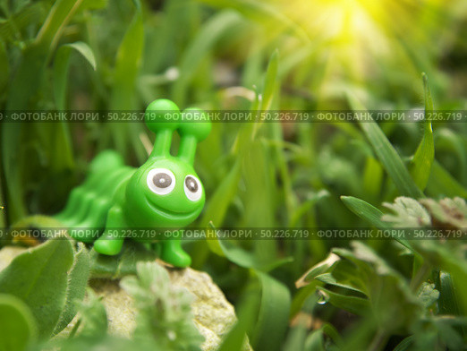 Toy caterpillar in grass. Conceptual scene. Стоковое фото, агентство Ingram Publishing / Фотобанк Лори