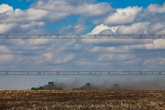 Tractors cultivating soil with plows. Spring sowing campaign. Dust cloud. Blue sky, nice clouds. Стоковое фото, фотограф Alexey Rezvykh / Фотобанк Лори