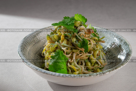 Traditional Korean side dish made from blanched soybean sprouts, sesame oil, garlic and fresh cilantro, served in a rustic ceramic bowl. Стоковое фото, фотограф Aleksandr Gavrilychev / Фотобанк Лори