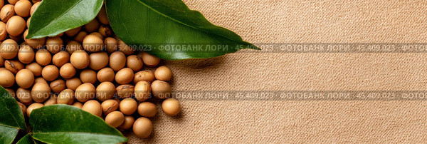 Традиционный японский праздник сэцубун, плоская выкладка с жареными соевыми бобами и листьями. Стоковое AI-изображение, AI-художник ФотоИнтеллект / Фотобанк Лори