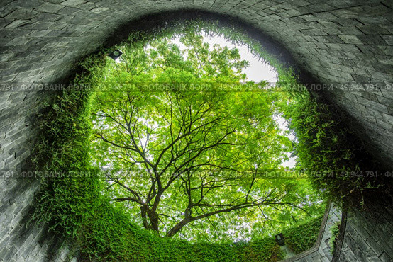 Travel in Singapore .Spiral staircase of underground crossing in tunnel at Fort Canning Park, Singapore. Singapore is most popular travel city in Southeast asia. Стоковое фото, агентство Ingram Publishing / Фотобанк Лори