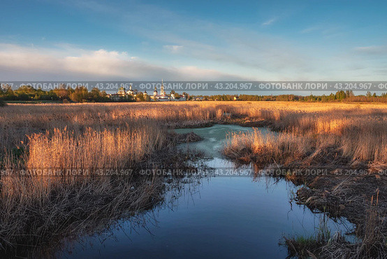 Trinity-Sergius Varnitsky Monastery. Dry reeds in the water in the golden rays of the sun. Стоковое фото, фотограф Саблин Станислав / Фотобанк Лори