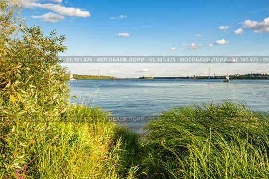 Тропа среди высокой травы к кромке берега реки. Стоковое фото, фотограф Илья Старков / Фотобанк Лори