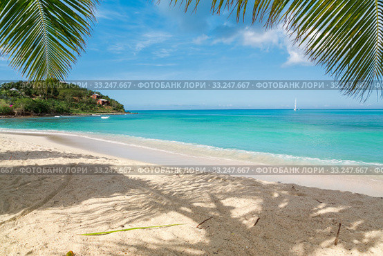 Tropical beach. Стоковое фото, фотограф Mariusz Blach / Smarterpix / Фотобанк Лори