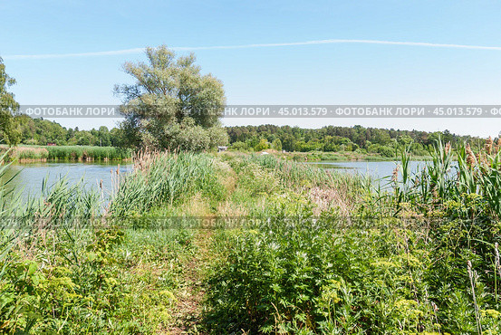 Тропинка на берегу реки Сестры (2019 год). Стоковое фото, фотограф Алёшина Оксана / Фотобанк Лори